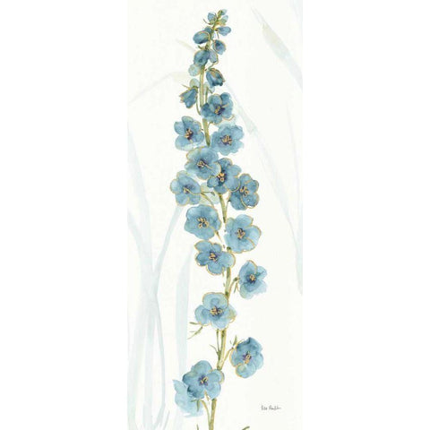 Rainbow Seeds Flowers VI White Modern Wood Framed Art Print by Audit, Lisa