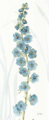 Rainbow Seeds Flowers VI White Modern Wood Framed Art Print with Double Matting by Audit, Lisa