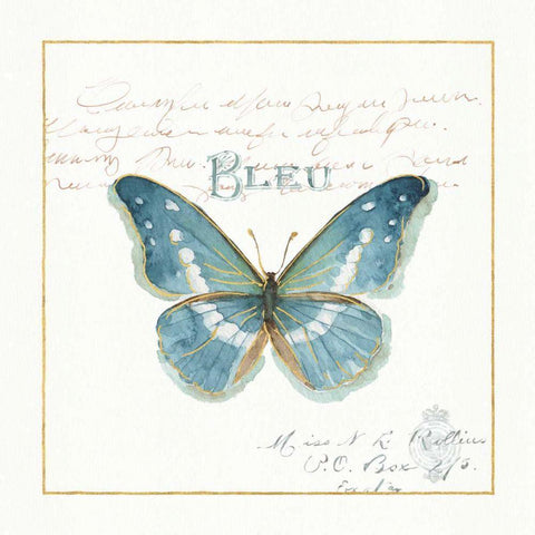 Rainbow Seeds Butterflies V White Modern Wood Framed Art Print by Audit, Lisa