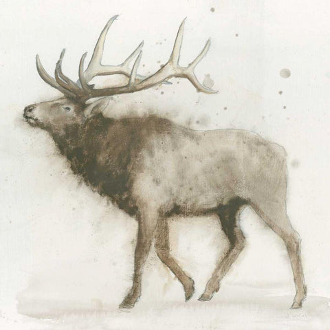Elk v.2  White Modern Wood Framed Art Print by Wiens, James