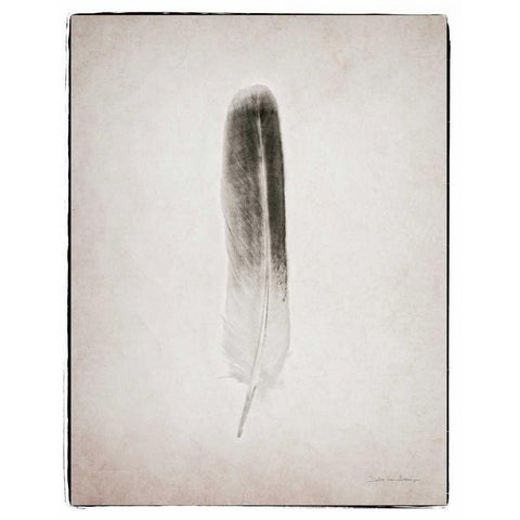 Feather II BW  Black Modern Wood Framed Art Print with Double Matting by Van Swearingen, Debra