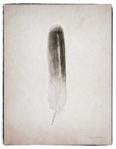 Feather II BW  White Modern Wood Framed Art Print with Double Matting by Van Swearingen, Debra