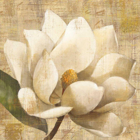 Magnolia Blossom on Script Gold Ornate Wood Framed Art Print with Double Matting by Hristova, Albena