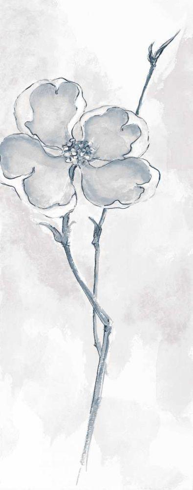Image Only