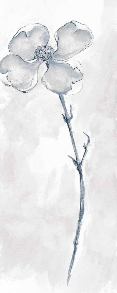 Image Only
