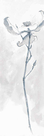 Solitary Dogwood IV Gray White Modern Wood Framed Art Print with Double Matting by Paschke, Chris