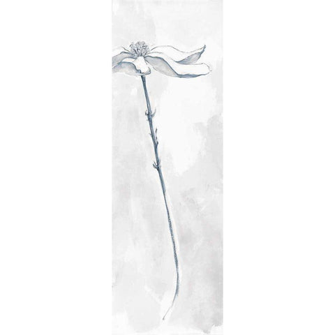 Solitary Dogwood V Gray White Modern Wood Framed Art Print by Paschke, Chris