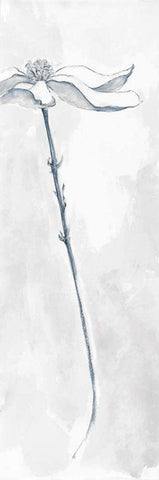 Solitary Dogwood V Gray White Modern Wood Framed Art Print with Double Matting by Paschke, Chris