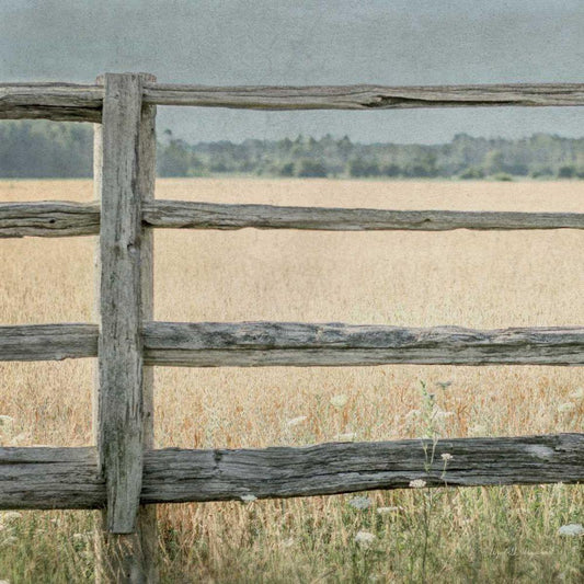 Image Only