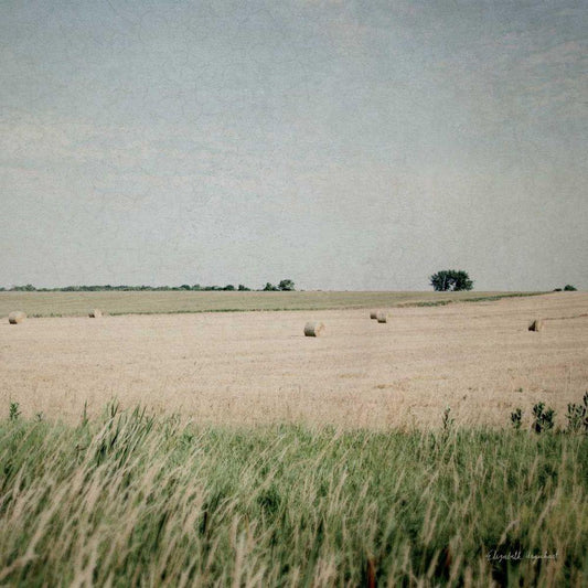 Image Only