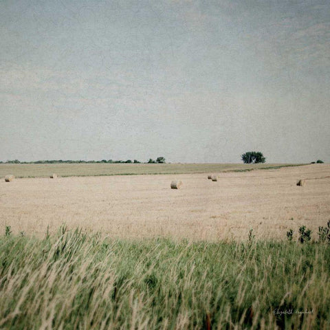 Neutral Country II Crop  Black Modern Wood Framed Art Print with Double Matting by Urquhart, Elizabeth