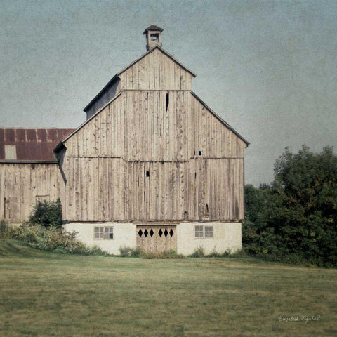 Neutral Country IV Crop  Black Modern Wood Framed Art Print by Urquhart, Elizabeth