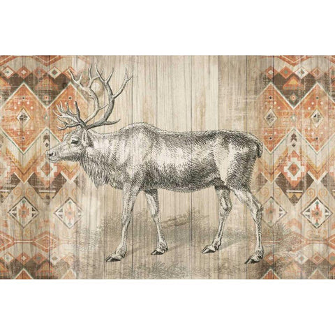 Natural History Lodge Southwest IX Gold Ornate Wood Framed Art Print with Double Matting by Wild Apple Portfolio