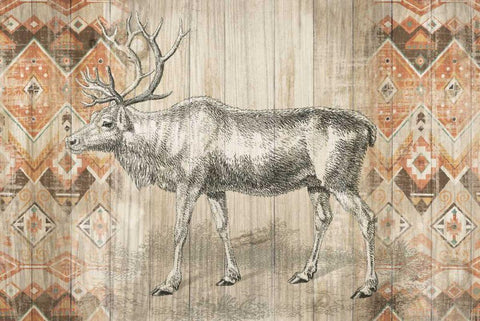 Natural History Lodge Southwest IX Black Ornate Wood Framed Art Print with Double Matting by Wild Apple Portfolio