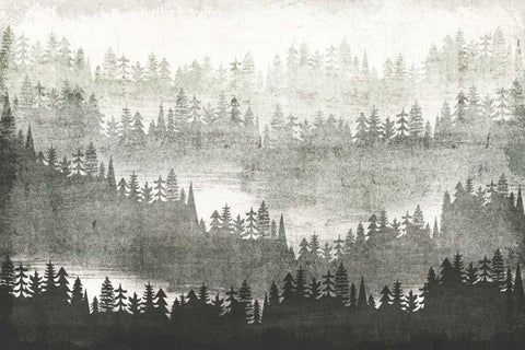 Mountainscape Silver White Modern Wood Framed Art Print with Double Matting by Mullan, Michael