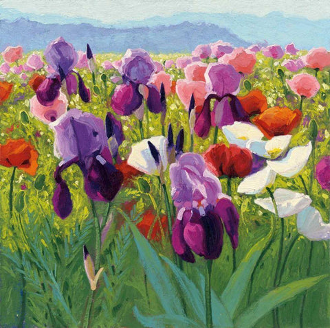 Early June White Modern Wood Framed Art Print with Double Matting by Novak, Shirley