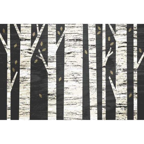 Birch Forest White Modern Wood Framed Art Print by Mullan, Michael