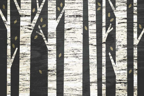 Birch Forest Black Ornate Wood Framed Art Print with Double Matting by Mullan, Michael