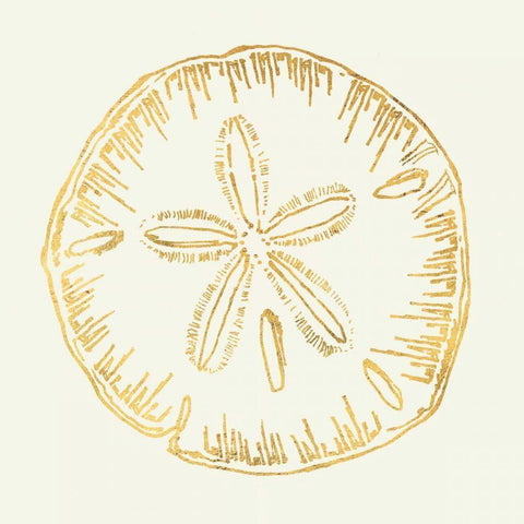 Coastal Breeze Shell Sketches Black Modern Wood Framed Art Print by Tavoletti, Anne