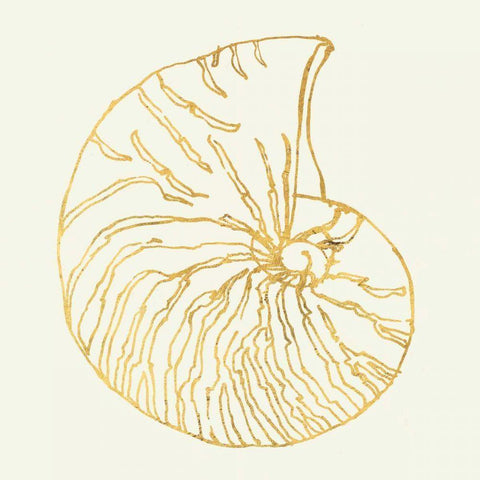 Coastal Breeze Shell Sketches Gold Ornate Wood Framed Art Print with Double Matting by Tavoletti, Anne