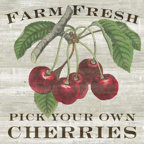 Farm Fresh Cherries Gold Ornate Wood Framed Art Print with Double Matting by Schlabach, Sue