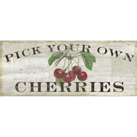 Farm Fresh Cherries Gold Ornate Wood Framed Art Print with Double Matting by Schlabach, Sue