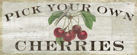 Farm Fresh Cherries Black Ornate Wood Framed Art Print with Double Matting by Schlabach, Sue