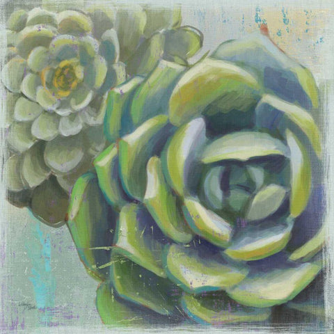 Succulents II Black Modern Wood Framed Art Print by Wellington Studio