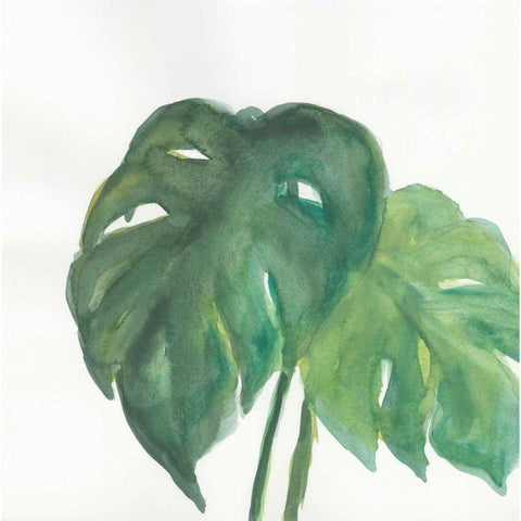 Tropical Palm II White Modern Wood Framed Art Print by Paschke, Chris