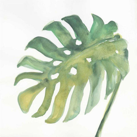 Tropical Palm IV White Modern Wood Framed Art Print by Paschke, Chris