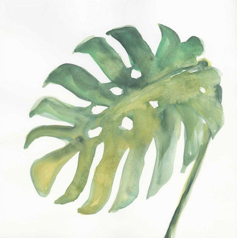 Tropical Palm IV White Modern Wood Framed Art Print with Double Matting by Paschke, Chris