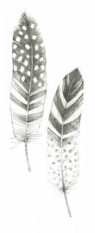 Feather Sketches VIII White Modern Wood Framed Art Print with Double Matting by Tillmon, Avery