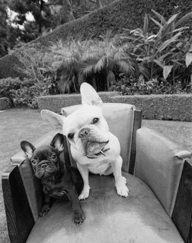 Always Friends Black Ornate Wood Framed Art Print with Double Matting by Dratfield, Jim