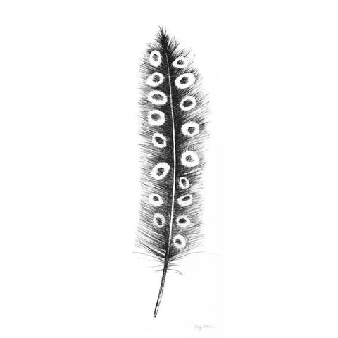 Spirit Feather VIIIa Black Modern Wood Framed Art Print with Double Matting by Tillmon, Avery