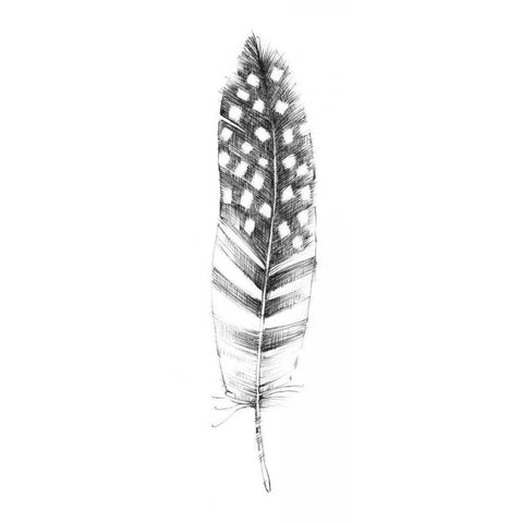 Spirit Feather VIIIb Black Modern Wood Framed Art Print with Double Matting by Tillmon, Avery