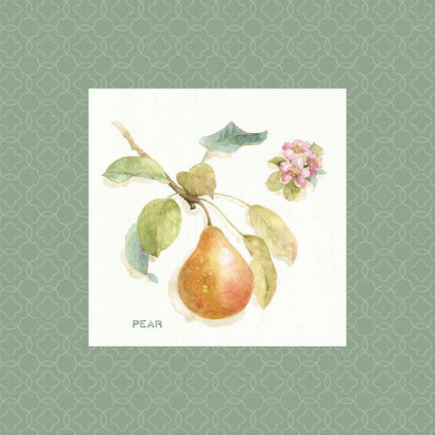 Orchard Bloom II Border White Modern Wood Framed Art Print with Double Matting by Audit, Lisa
