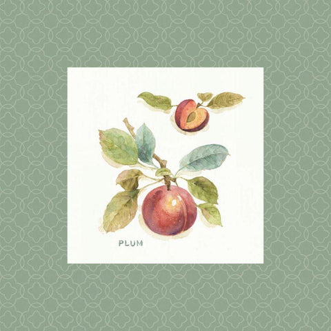 Orchard Bloom IV Border Gold Ornate Wood Framed Art Print with Double Matting by Audit, Lisa