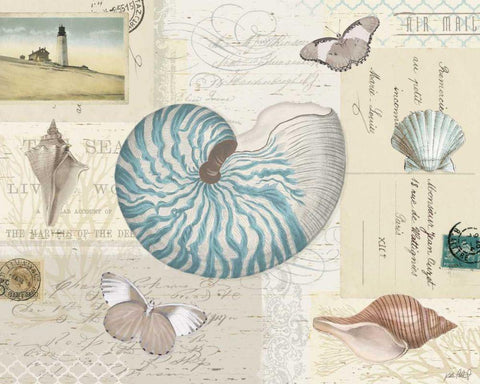 Beach Wonders I White Modern Wood Framed Art Print with Double Matting by Pertiet, Katie