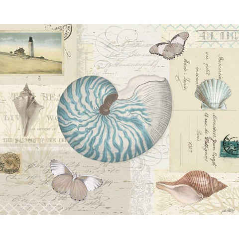 Beach Wonders I Black Modern Wood Framed Art Print with Double Matting by Pertiet, Katie