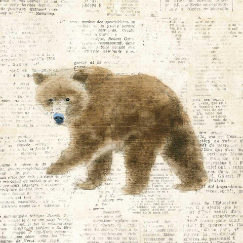 Into the Woods VI no Border White Modern Wood Framed Art Print by Adams, Emily