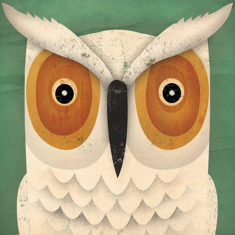 White Owl White Modern Wood Framed Art Print with Double Matting by Fowler, Ryan