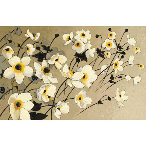 Anemones Japonaises Blancs Black Modern Wood Framed Art Print with Double Matting by Novak, Shirley