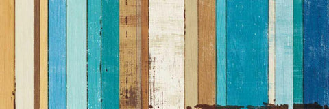 Beachscape VIII Black Ornate Wood Framed Art Print with Double Matting by Mullan, Michael