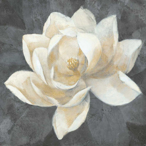 Majestic Magnolia Neutral Sq Black Modern Wood Framed Art Print by Hristova, Albena
