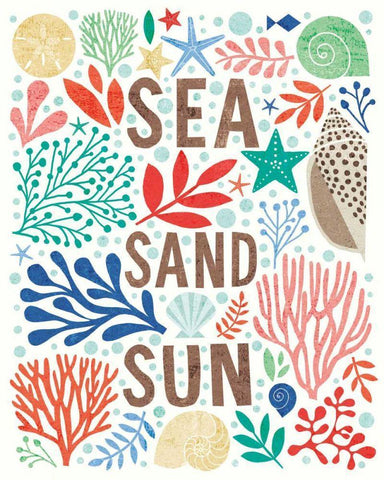 Under Sea Treasures III White Modern Wood Framed Art Print with Double Matting by Mullan, Michael