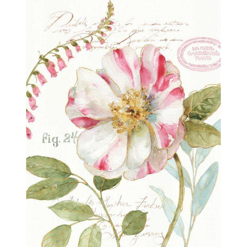 Rainbow Seeds Botanical II Gold Ornate Wood Framed Art Print with Double Matting by Audit, Lisa