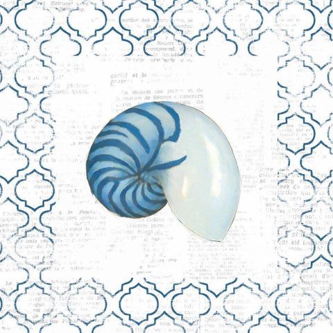 Navy Nautilus Shell on Newsprint White Modern Wood Framed Art Print with Double Matting by Adams, Emily