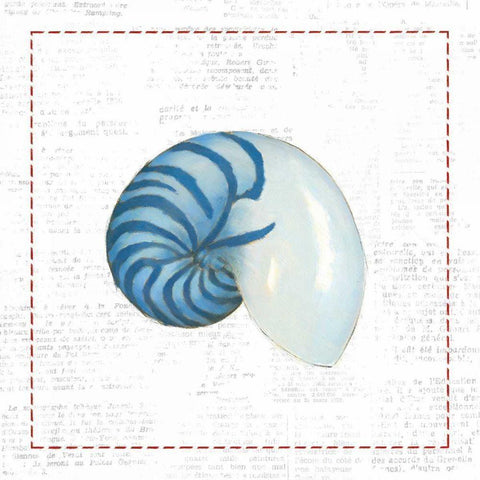 Navy Nautilus Shell on Newsprint with Red Black Modern Wood Framed Art Print by Adams, Emily