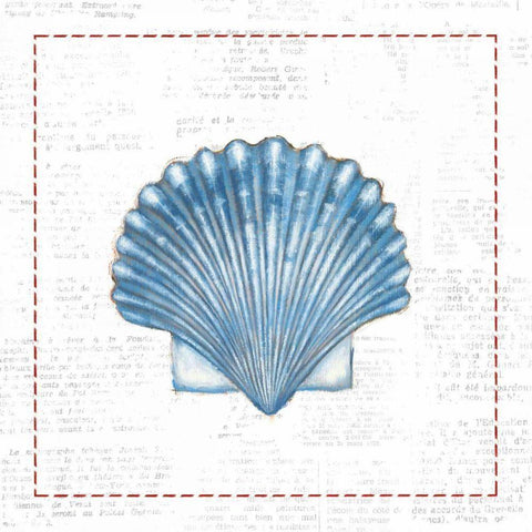 Navy Scallop Shell on Newsprint with Red White Modern Wood Framed Art Print by Adams, Emily