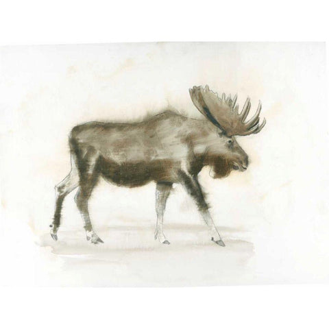 Dark Moose White Modern Wood Framed Art Print by Wiens, James